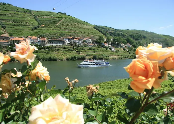 Lägenhet Sendme2portugal: Loureiro